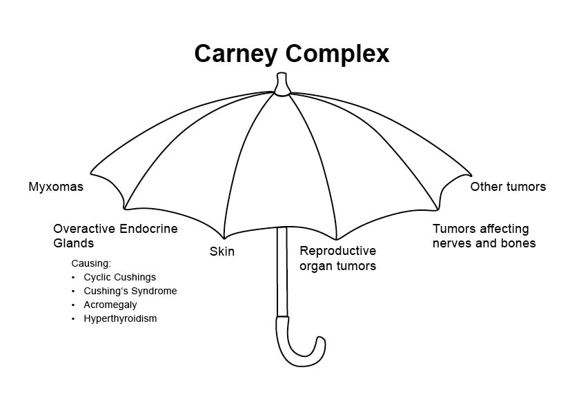 carney complex